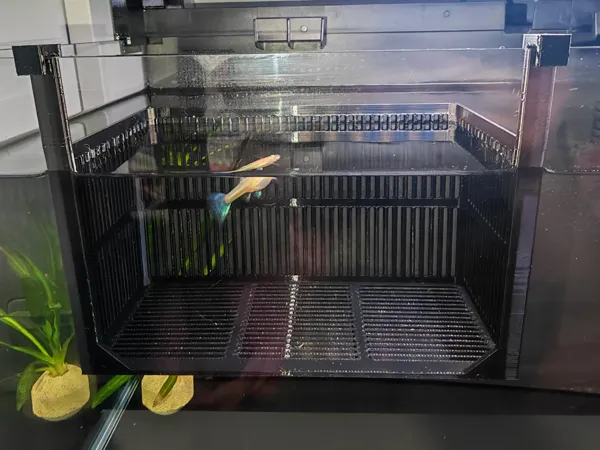 https://makerworld.bblmw.com/makerworld/model/US50b44a07801747/design/2025-10-30_8797ce9d634e18.jpg