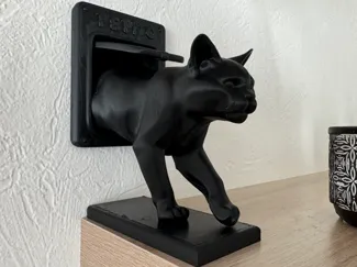 Pepito the cat is back home