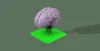 0.16mm layer, 2 walls, 15% infill