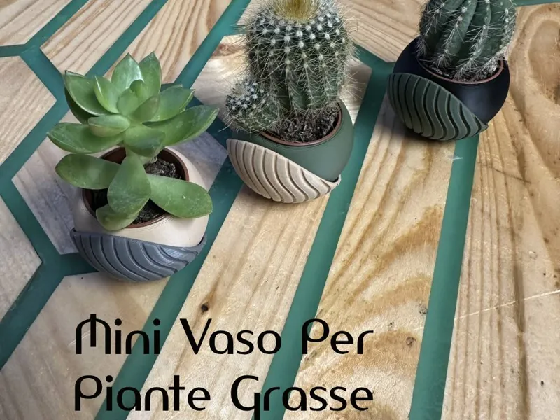 Mini Vaso per piante grasse