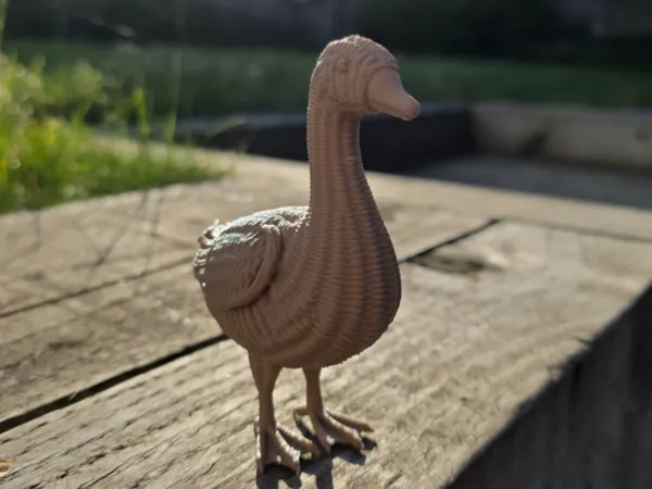 https://makerworld.bblmw.com/makerworld/model/US50c3445961a43b/design/39abcc1afd93abfb.jpg