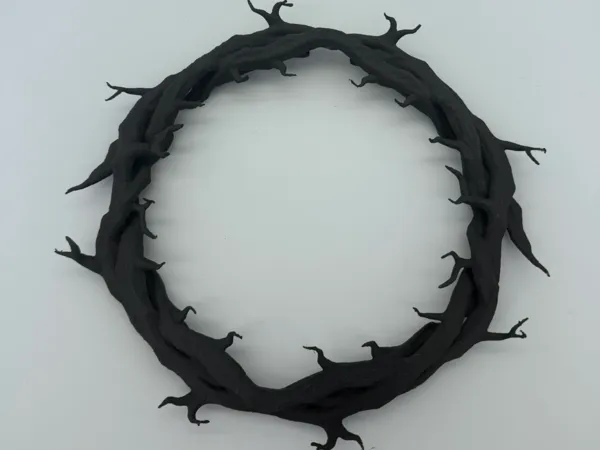 https://makerworld.bblmw.com/makerworld/model/US50cae6dd293796/design/2025-09-23_8118523ffc1b98.jpeg
