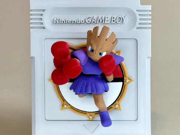 https://makerworld.bblmw.com/makerworld/model/US50cae982105369/design/2025-11-24_4d722cf5b66938.jpg