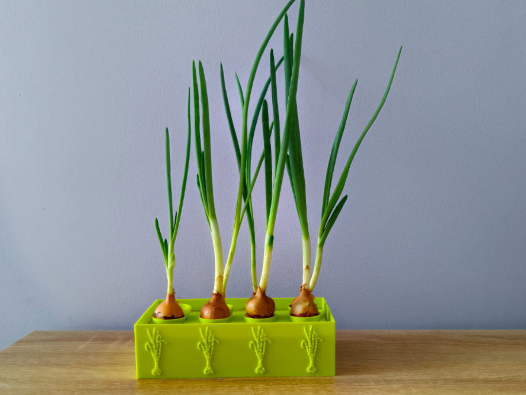 Hydroponic Spring onions Planter 