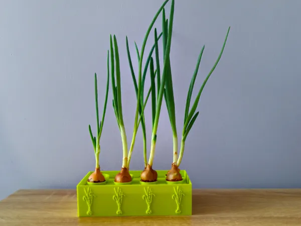 https://makerworld.bblmw.com/makerworld/model/US50cc8d8f60e1f/design/833b670e70c2bcf5.jpg