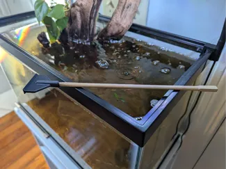 Chop Stick Scraper