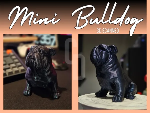 https://makerworld.bblmw.com/makerworld/model/US50d57f2590fc9c/design/2025-02-04_1cb6286f300d.png
