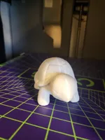 Tortue mignonne — photo 2