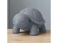 Tortue mignonne — photo 1