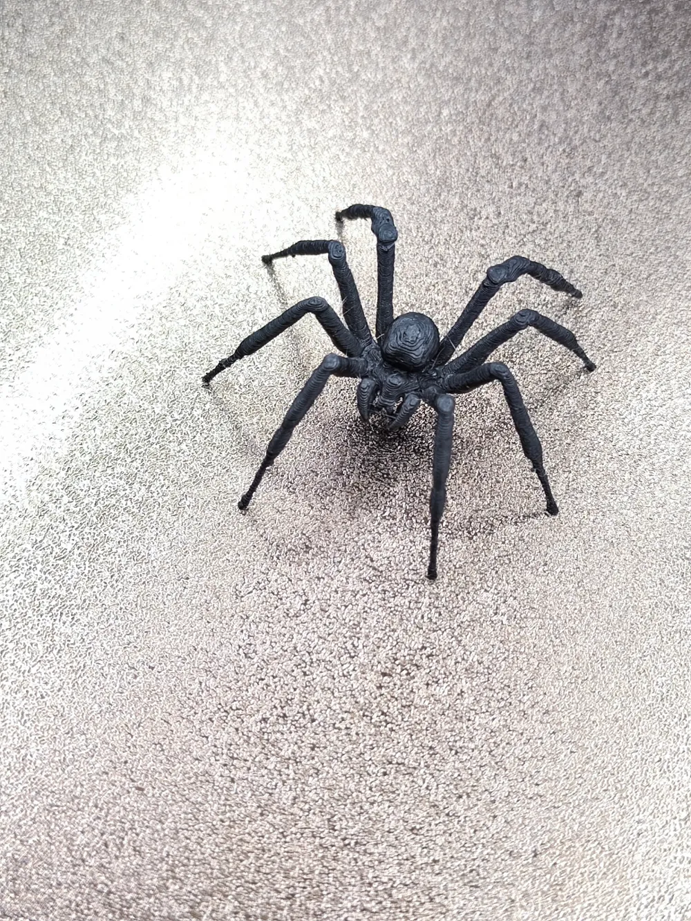 Realistic Spider *NEW 2025 Upgrade profile