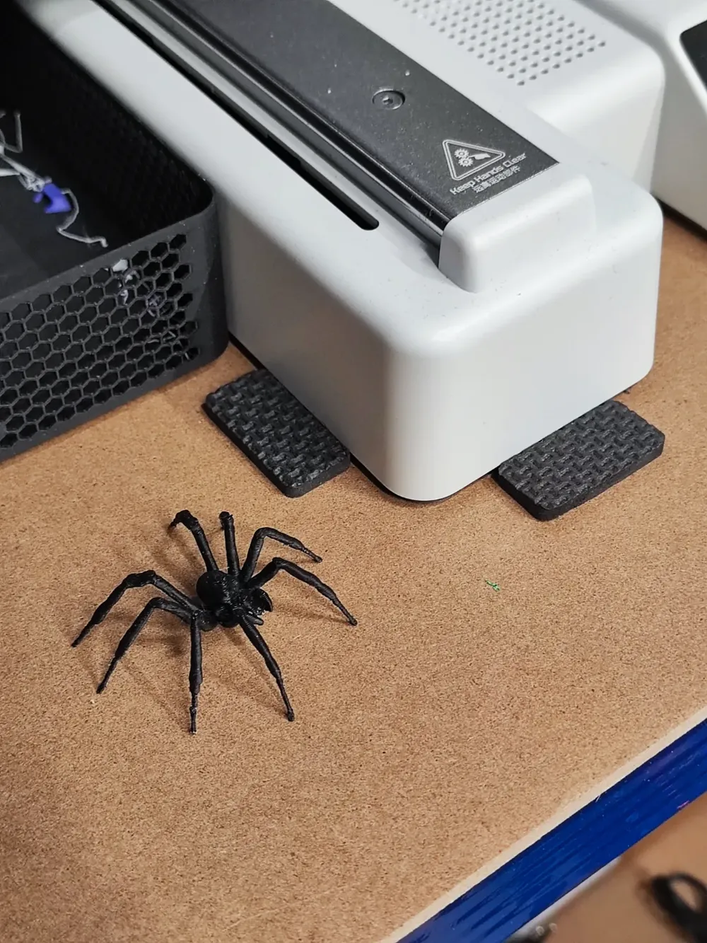 Realistic Spider *NEW 2025 Upgrade profile