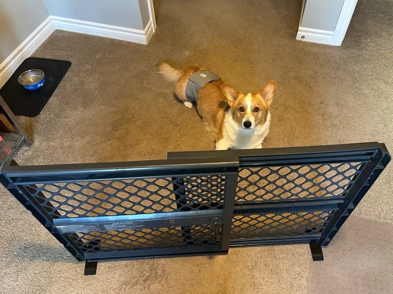 Freestanding Foot - North States Portable Pet Gate