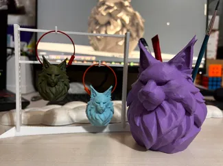 Maine Coon accessories