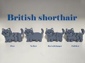 British shorthair cat flexi - keychain