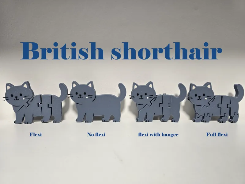 British shorthair cat flexi - keychain