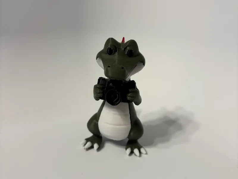 Lisa's Alligator