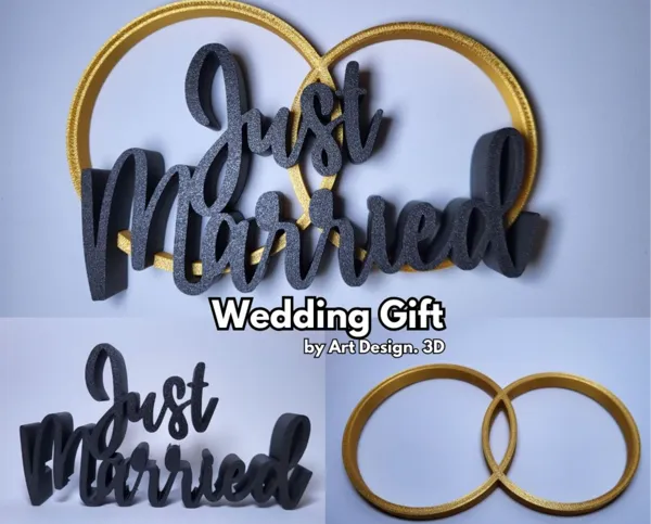https://makerworld.bblmw.com/makerworld/model/US50f2c7d7ea6946/design/2024-06-11_eb26417161ab8.jpg