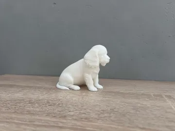 Modelo para impresión 3D: Cavalier King Charles Spaniel – Puppy — vista de referencia 5