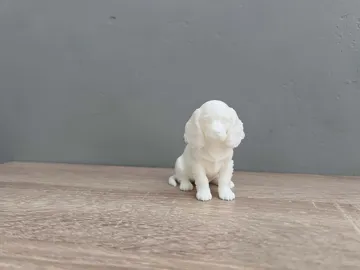 Modelo para impresión 3D: Cavalier King Charles Spaniel – Puppy — vista de referencia 4