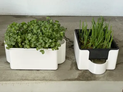 No Soil Microgreens Tray