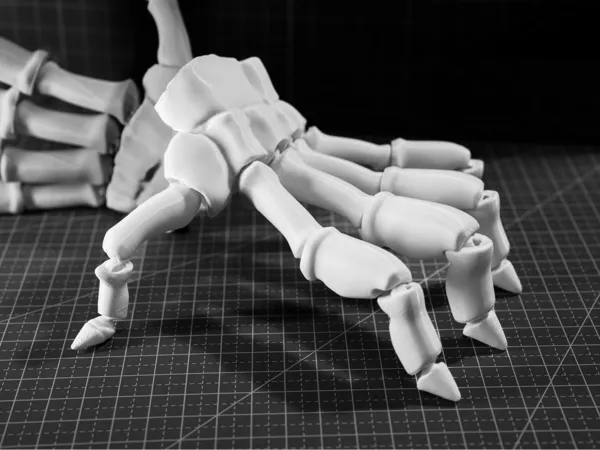 https://makerworld.bblmw.com/makerworld/model/US510256899b1a02/design/f93b9acba02c865e.jpg