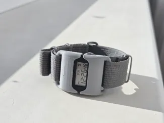 Pebble Style Casio Case