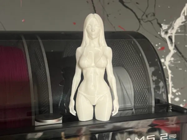 https://makerworld.bblmw.com/makerworld/model/US5103e1c441a7d/design/2025-05-13_ecf4dba386c8b8.jpg