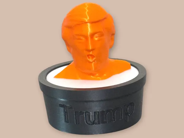 https://makerworld.bblmw.com/makerworld/model/US510c0dbbdeb7bc/design/2025-03-17_44f7fb1b36a3d.jpeg