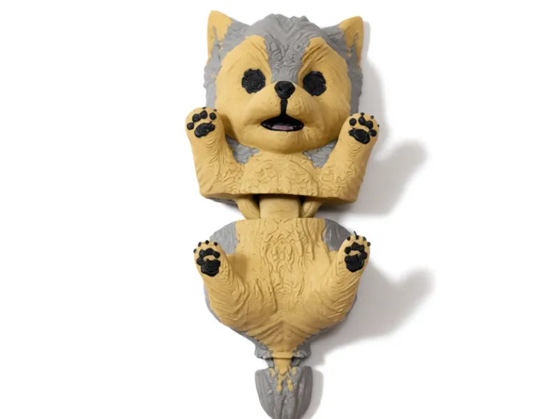 yorkshire terrier flexi