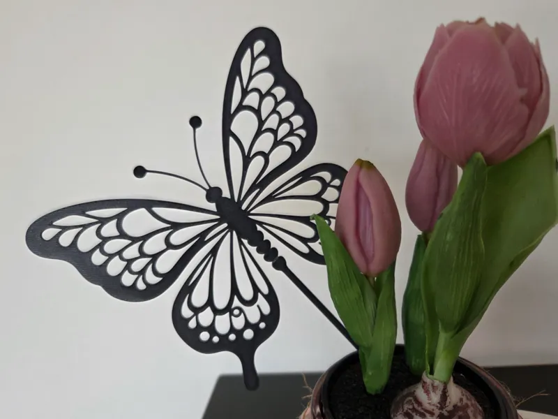 Schmetterling 
