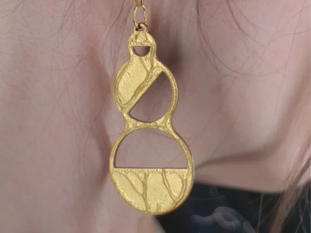 Earrings - Hanging Circles