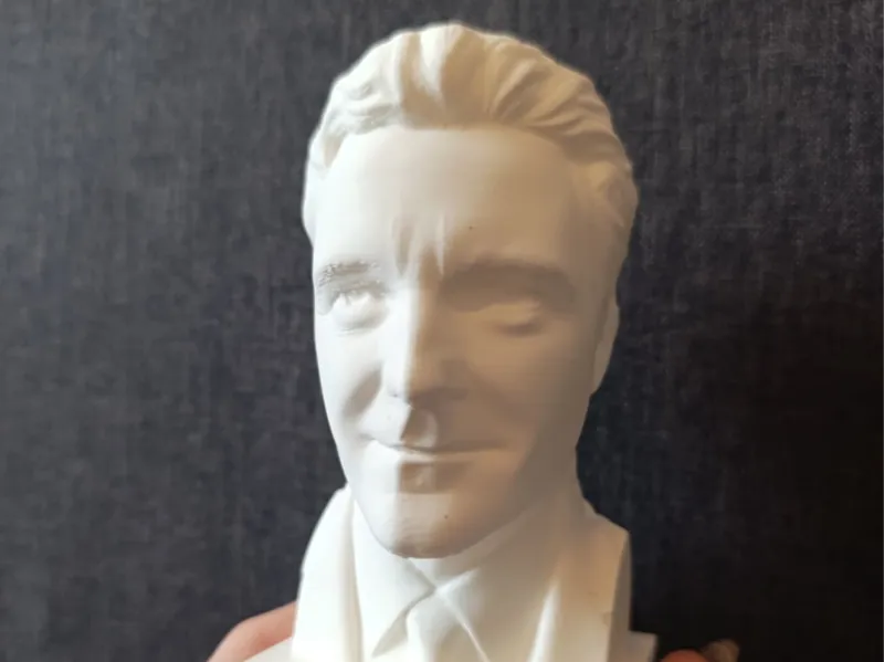 Nicusor Dan bust statue