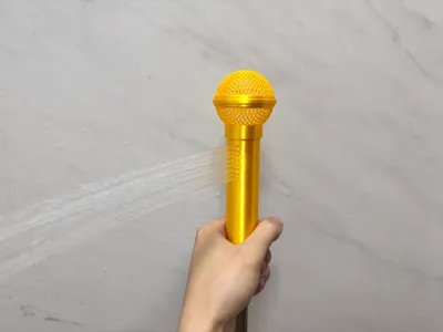 Microphone Shower Head