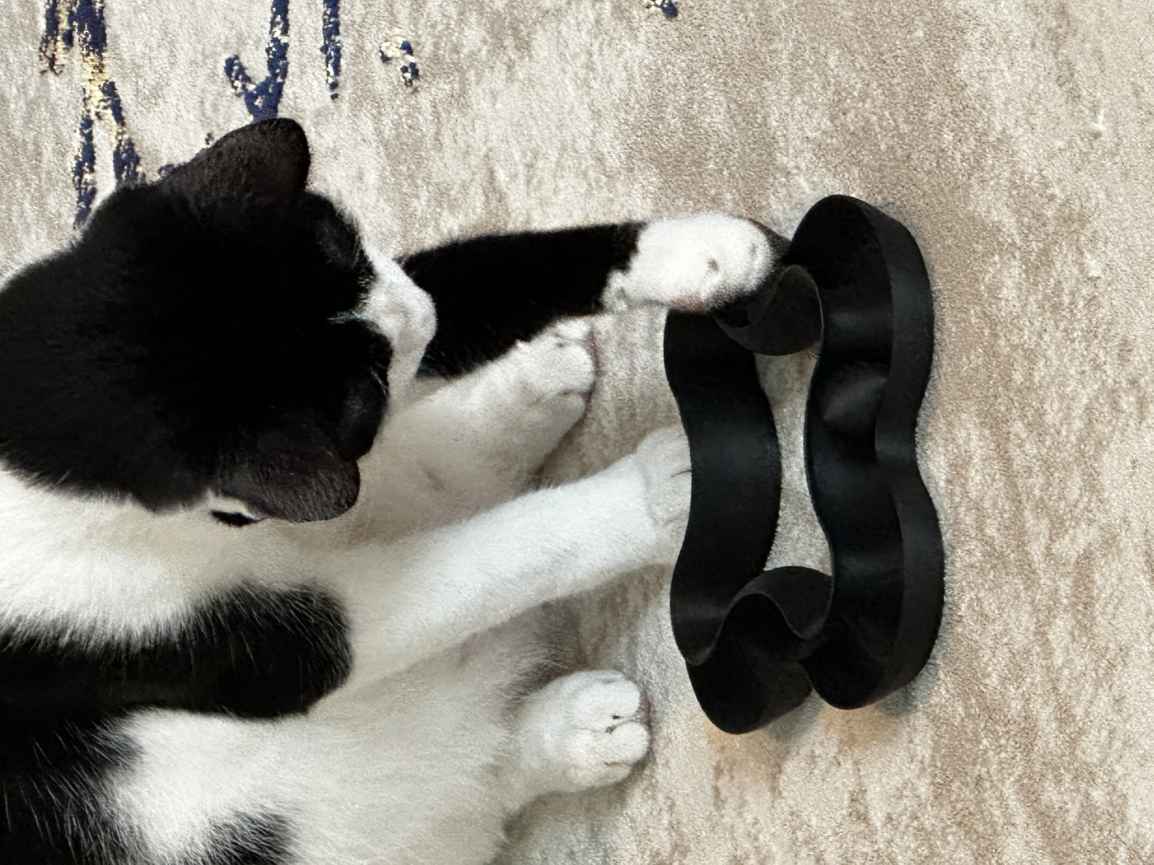 Miniatura 2 do modelo 3D cat toy