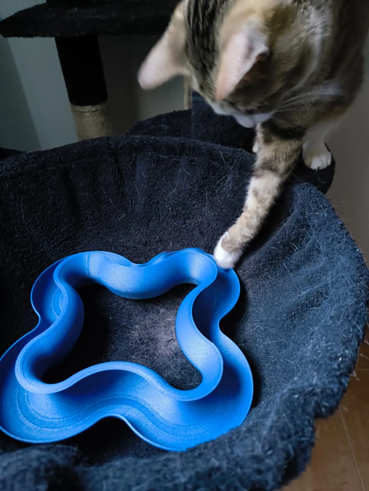 cat toy view 2