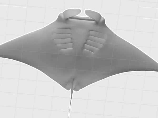 https://makerworld.bblmw.com/makerworld/model/US51202ff84d12f4/design/2025-11-02_f10e5429ad33b.png