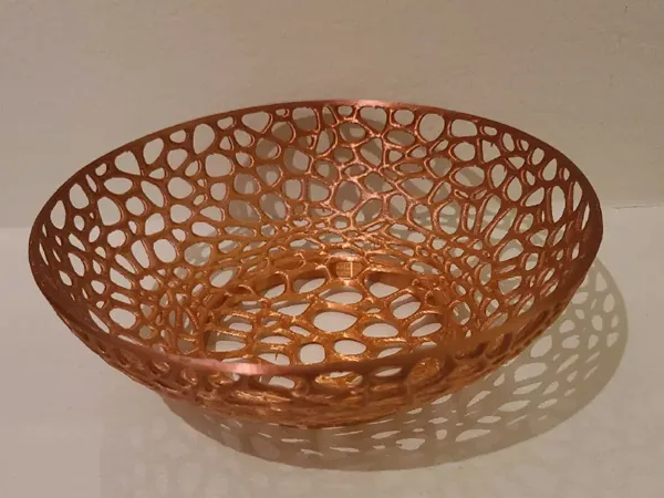 https://makerworld.bblmw.com/makerworld/model/US5129326476e15f/design/2025-03-10_51b153332dbda.png