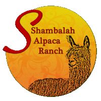 test 5 shambalah