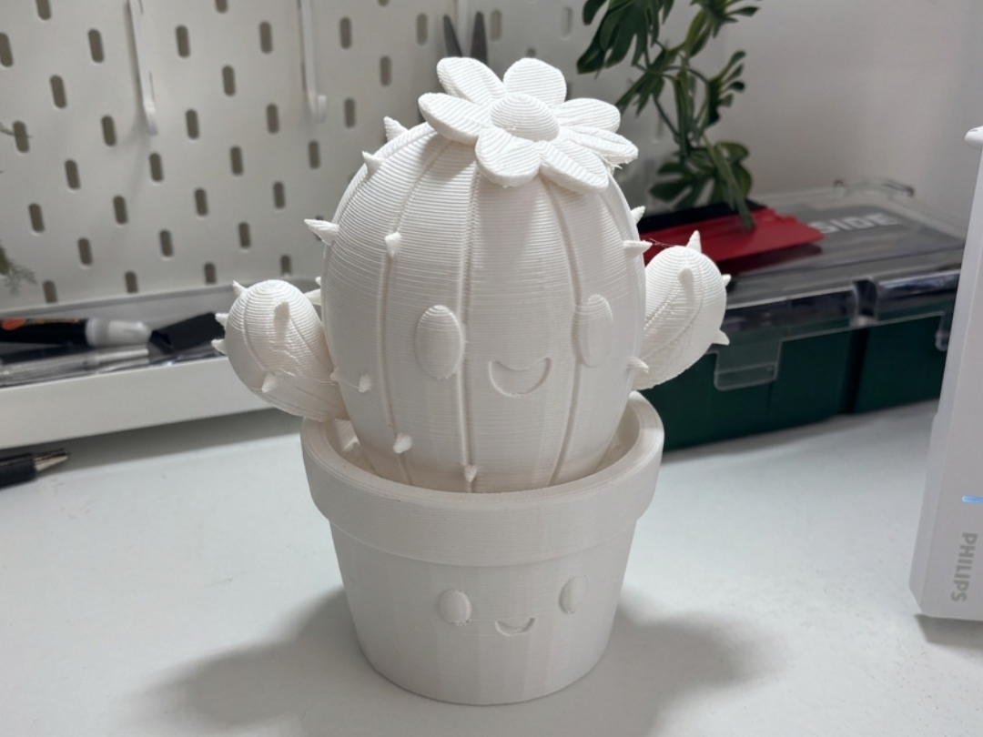 Happy Cactus Friend | Cute Smiling Plant Toy