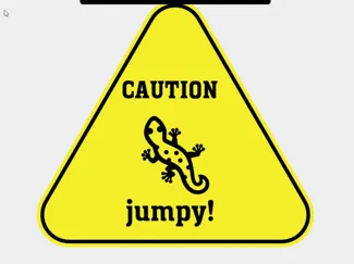Caution jumpy Gecko