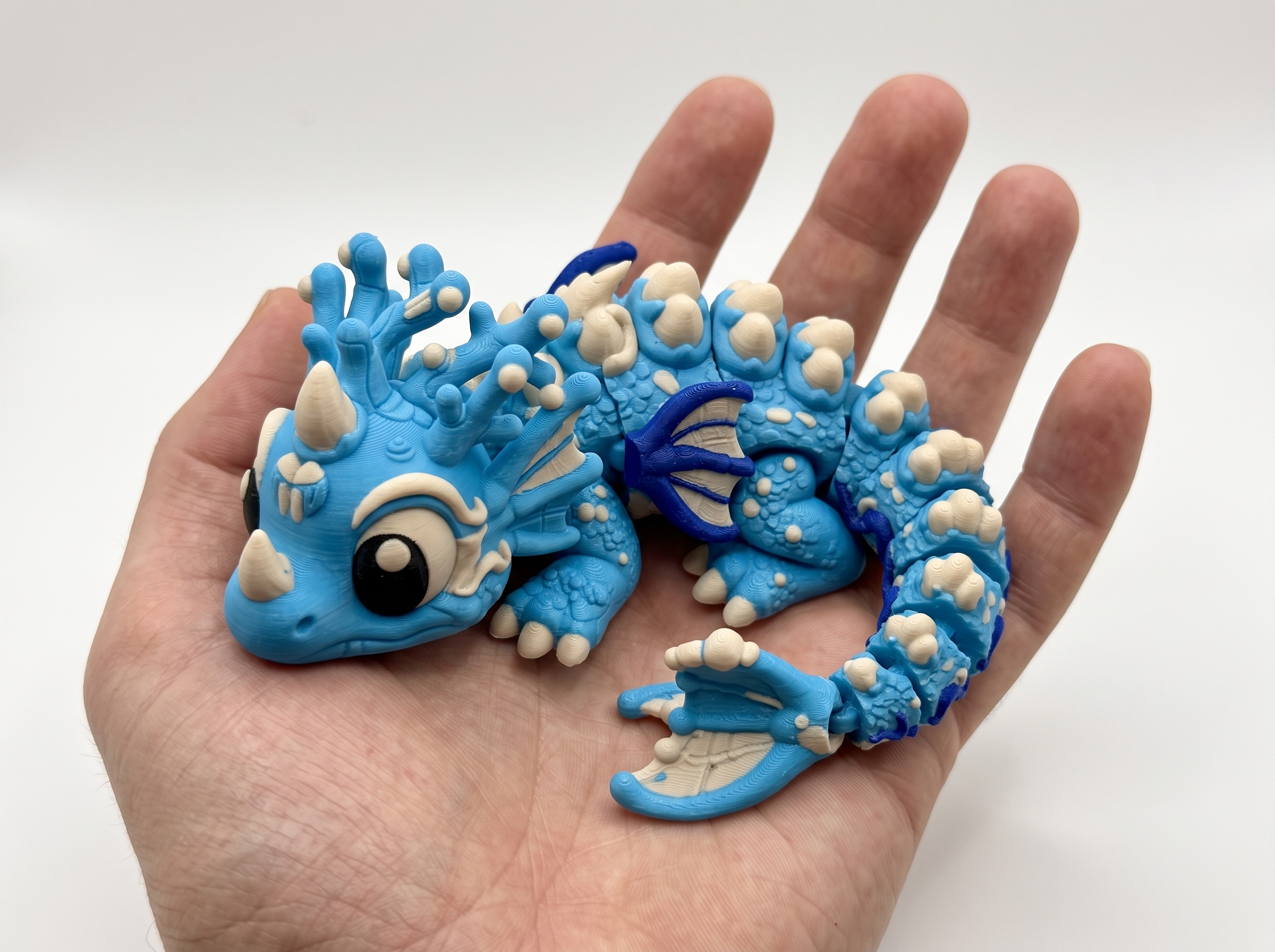 Cute Coral Reef Flexi Dragon - 1