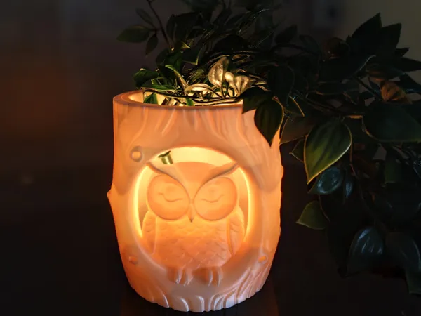 https://makerworld.bblmw.com/makerworld/model/US513a62da5eee5f/design/2025-11-12_8881a1136a871.jpg