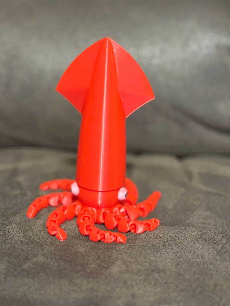Cute Giant-Head Flexi Squid (Squidopus)