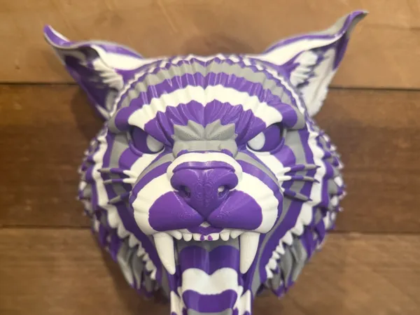 https://makerworld.bblmw.com/makerworld/model/US5146a1fd1c8958/design/da82fb228a522b7b.jpeg