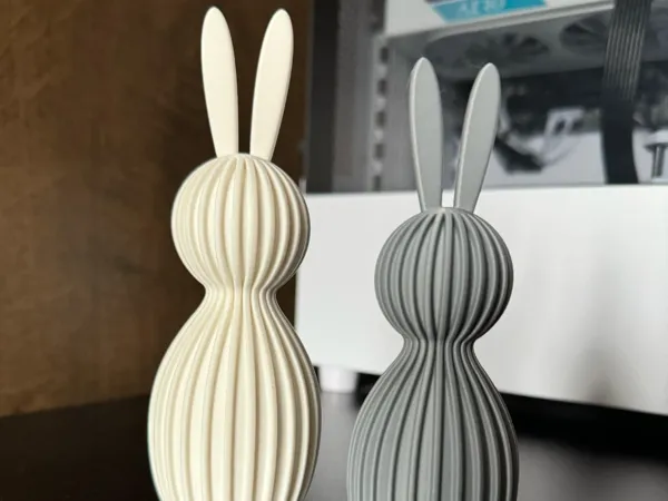 https://makerworld.bblmw.com/makerworld/model/US5147a26579e648/design/2025-03-09_3877802c1a43f.jpg