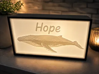 Hope der Buckelwal