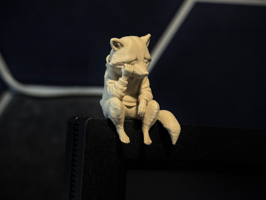 Cute Sad Racoon Monitor Topper! 
