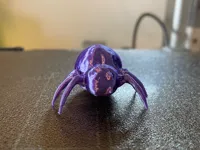 Petite araignée décorative détaillée — photo 2