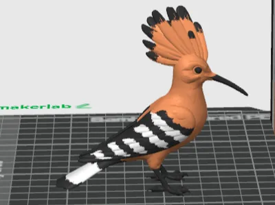 Dudek chocholatý / Hoopoe Bird (Multicolor)