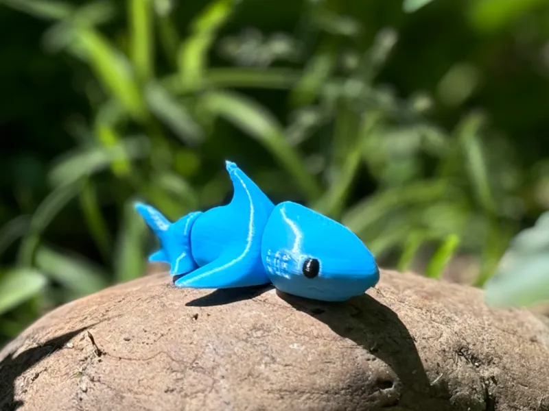 Baby shark flexi